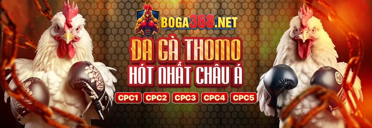 Đa dạng trò chơi tại 6623 Casino