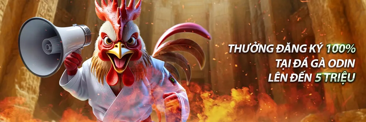 Cá cược thể thao 6623 Casino