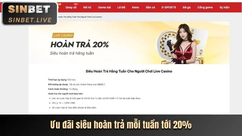 Giải mã sâu sắc các chương trình khuyến mãi của 6623 Casino